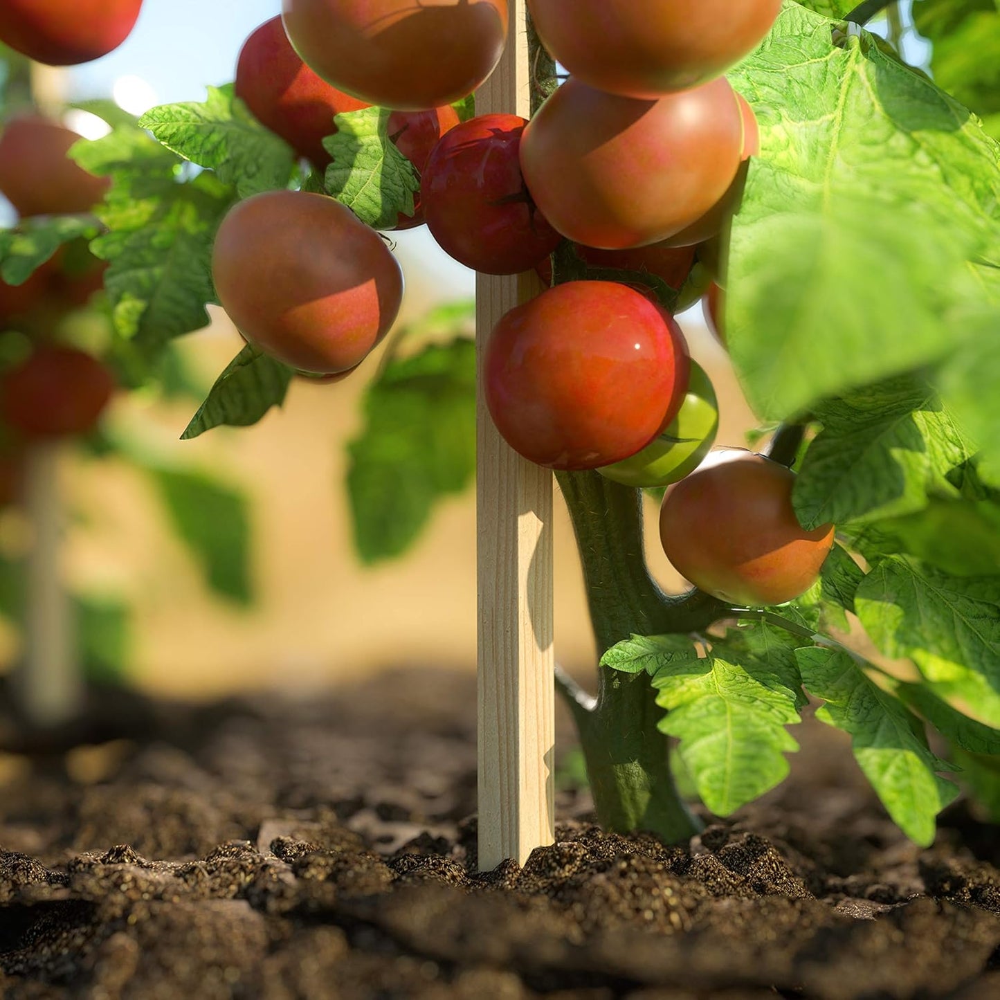 Greenes Fence 4 Ft. Garden and Sign Post Stakes (100 Pack)