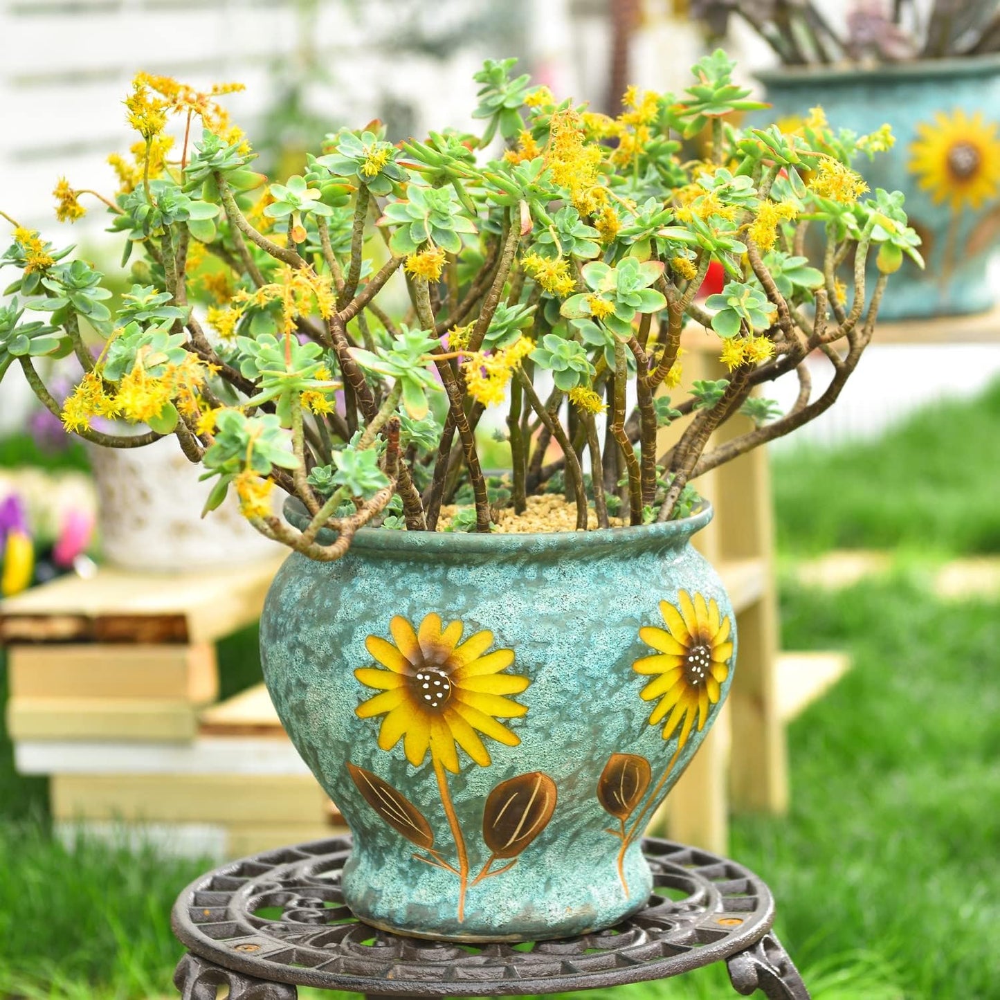 Sungmor Ceramic Hand Painted Succulent Flower Pots, 9 Inch Large Pottery Pots for Indoor Outdoor Plants, Decorative Ceramic Vase for Flower Arrangement Home Decor, Vintage Centerpieces Flowerpot