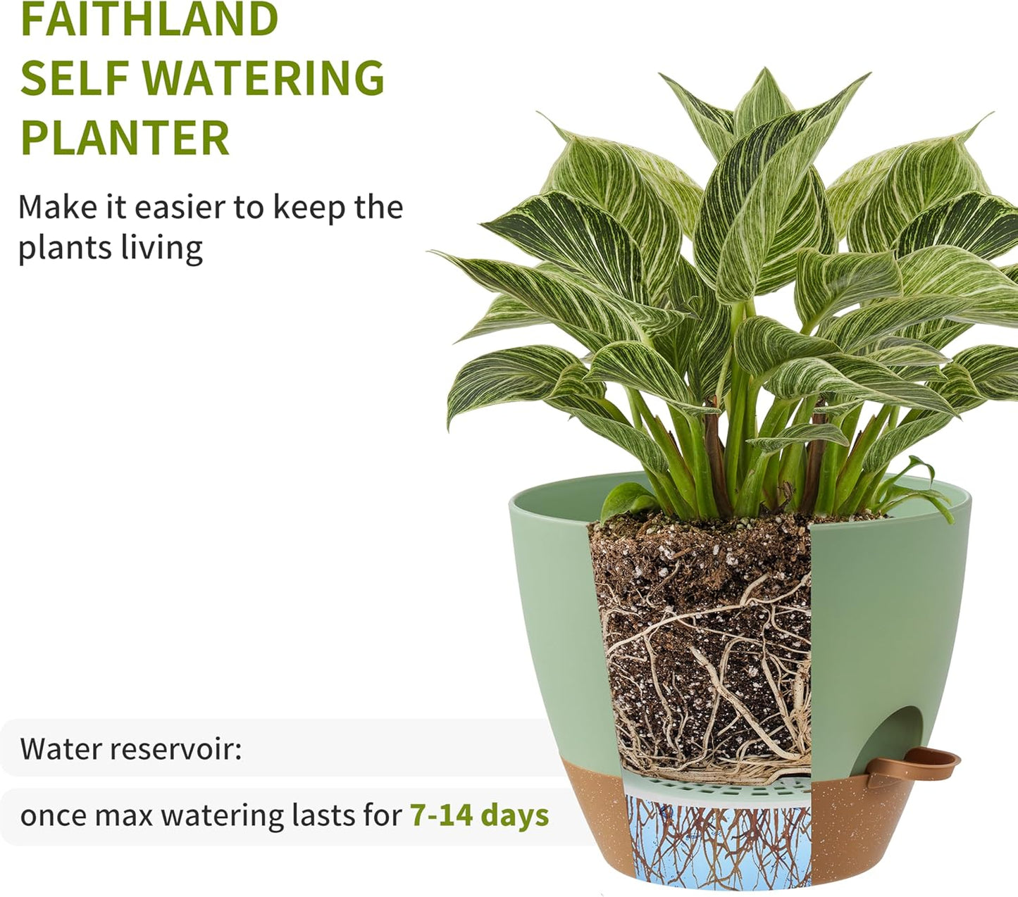 FaithLand 3-Pack Planter Pots, 10 9 8 Inch Self Watering Flower Pots for Indoor Outdoor Garden Plants, Green with Brown