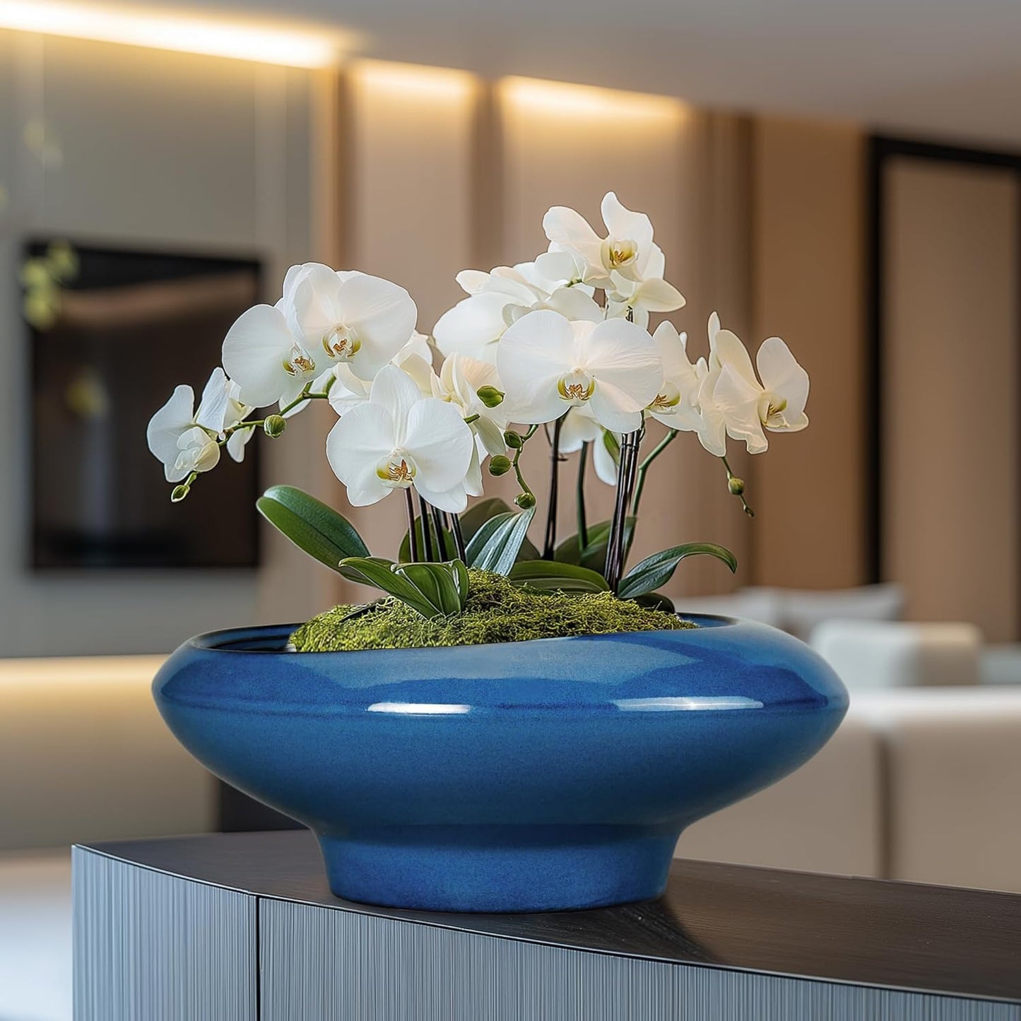 Bonsai Tree Pot 13 Inch - Ceramic Succulent Pots Large Bonsai Planter for Indoor Outdoor Plants Decorative Plant Pot with Drainage Hole Flower Pot for House Garden Room Home Decor Blue