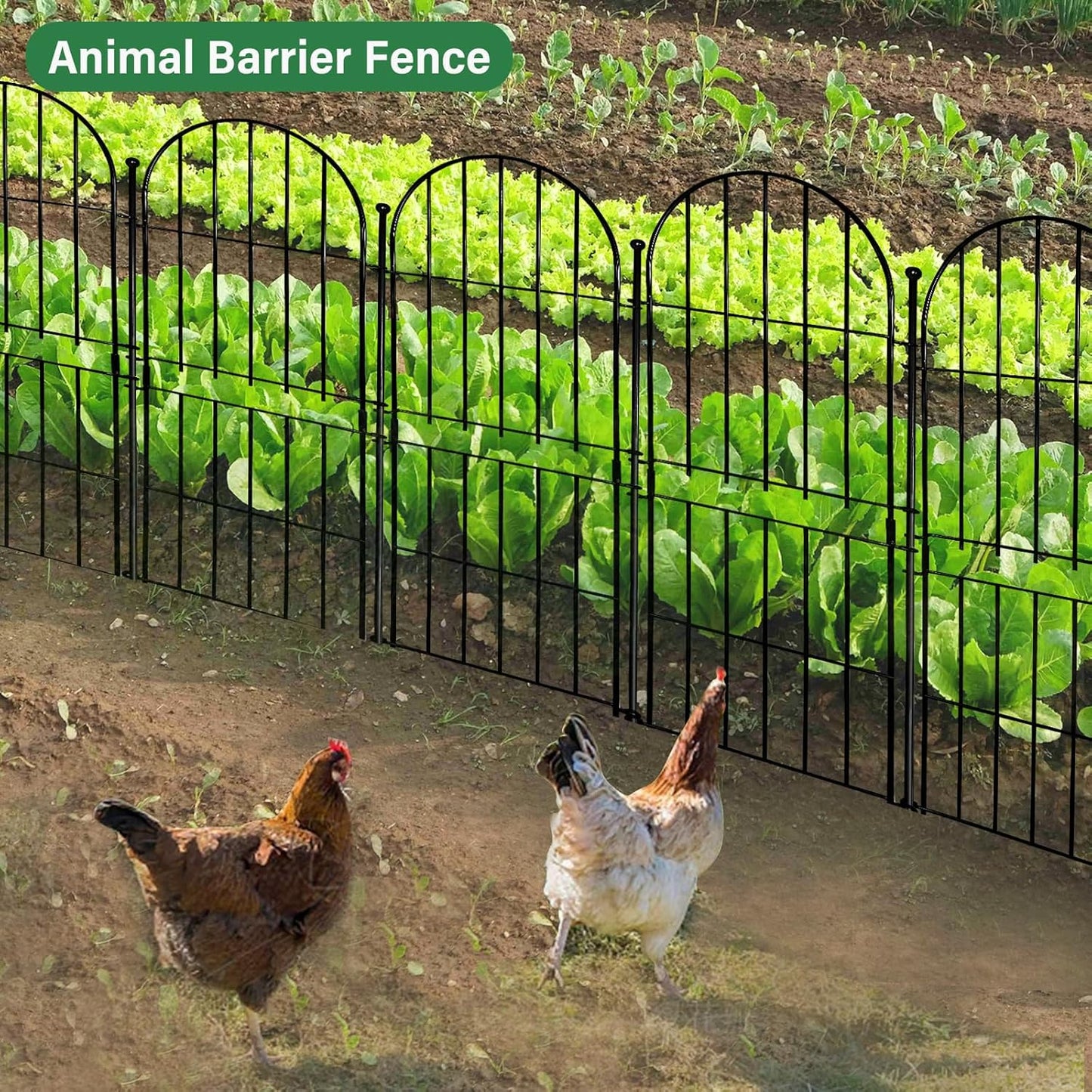 Decorative Garden Fence 31in (H) x10ft (L), 10 Pack No Dig Fence Animal Barrier for Dog, Arched Flower Bed Edging, Wire Border Panel Fencing for Yard Patio Outdoor Decor