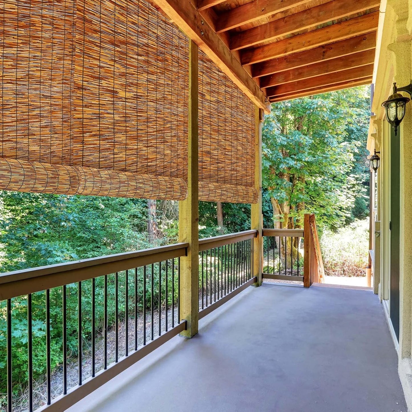 Barydat 1 Pcs 6 x 16.4 ft Bamboo Privacy Screen, Reed Fence Roller Patio Decorative Fences Reed Screen Curtain for Garden Backyard Patio Balconies